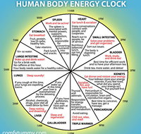 White Dragon Chinese Medicine - Internet Find