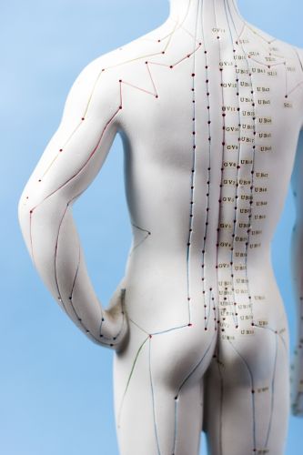Acupuncturists Taree NSW Internet Find