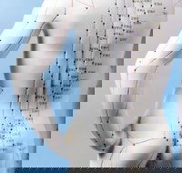 Bamboo Health - Internet Find