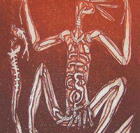 Pandanus Gallery - Internet Find