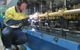Marine Asset Services - thumb 0