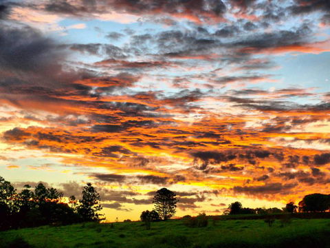 Yarraman Caravan Park - Internet Find 3