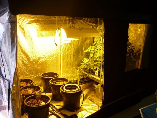 Car Restorations Supplies Nerang QLD Internet Find