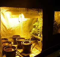 HydroCentre Hydroponics - Internet Find