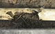 Weir K & J Plumbing & Drainage Pty Ltd - thumb 4