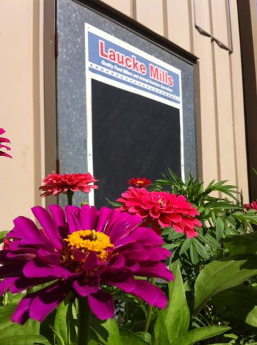 Laucke Mills Alice Springs - Internet Find 1