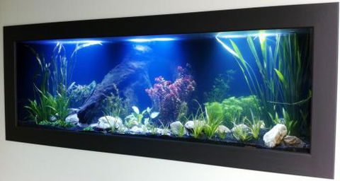 Aquariums In Cairns - Internet Find 0