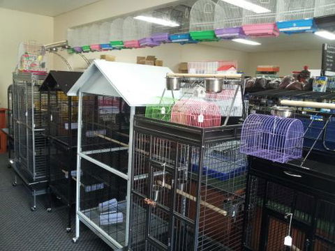 Absolutely Fish And Pets - Internet Find 1