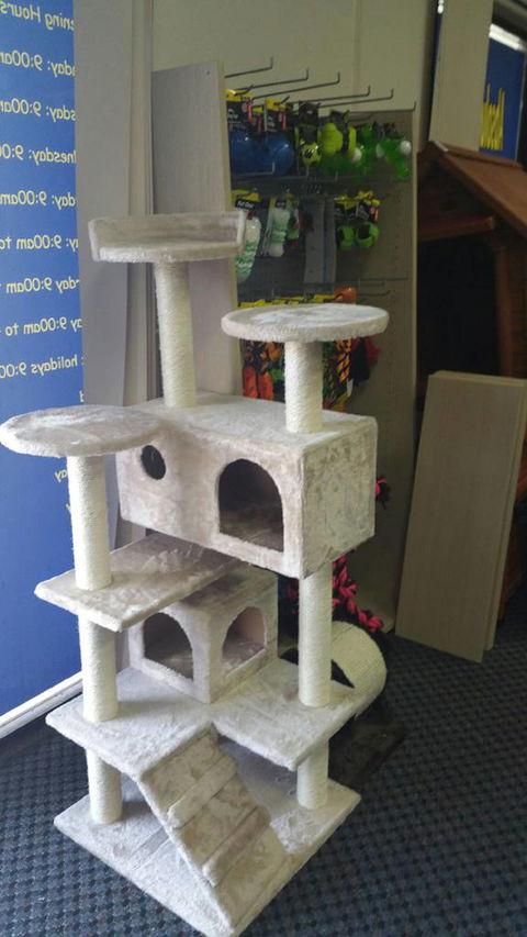 Absolutely Fish And Pets - Internet Find 2