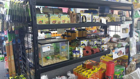 Absolutely Fish And Pets - Internet Find 3