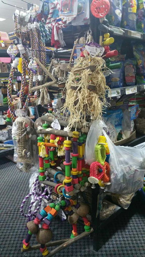 Absolutely Fish And Pets - Internet Find 4