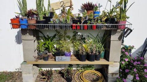 Burrum Landscape Supplies - Internet Find 4