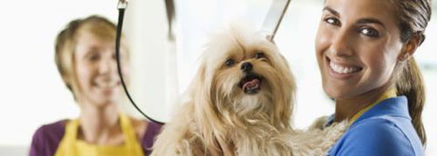 Port Stephens Pet Barn - Internet Find 1