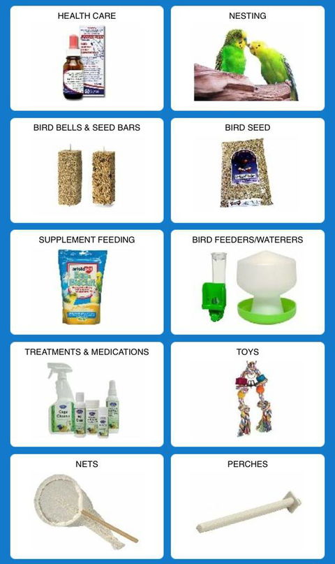 The Blue Ranch - Internet Find 2