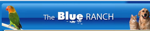 The Blue Ranch - Internet Find 4