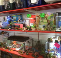 PJs Pet Barn - Internet Find