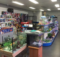 Nambour Pet Shop - Internet Find