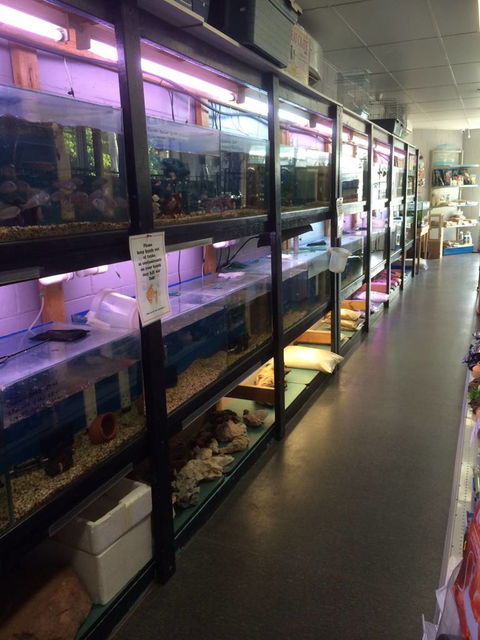 Nambour Pet Shop - Internet Find 1