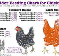 Feed and Fodder - Internet Find