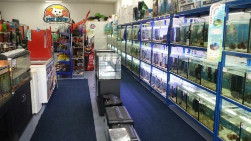 Pet Shops Currimundi QLD Internet Find