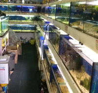 Clearwater Aquariums - Internet Find