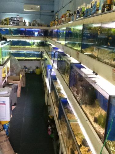 Clearwater Aquariums - Internet Find 0