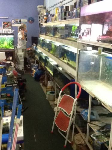 Clearwater Aquariums - Internet Find 1