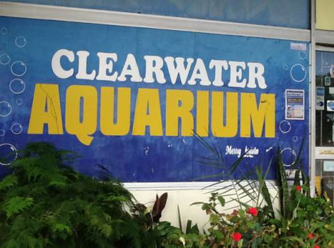 Clearwater Aquariums - Internet Find 2