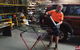 Novus Auto Glass - thumb 1