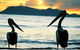 Villa Marine Cairns Beach Self Contained Holiday Apartments - thumb 0