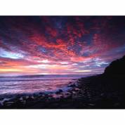 Ocean Art Australia - Internet Find 0