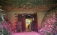 Long Point Vineyard & Art Gallery - thumb 3