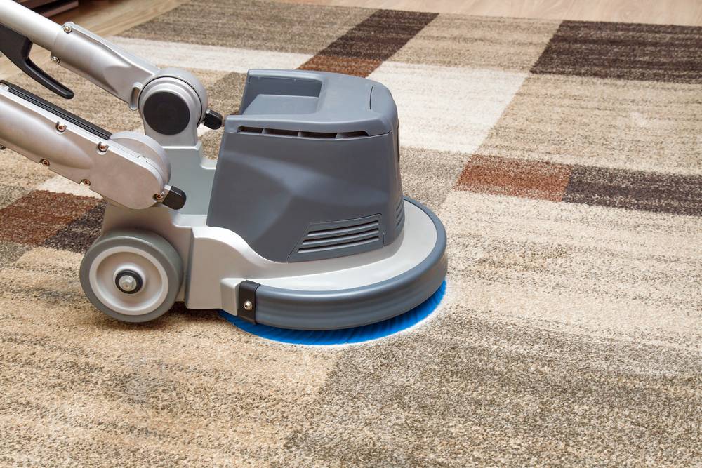 Carpet Cleaning Tumbi Umbi NSW Internet Find