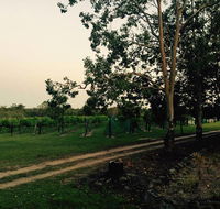 Brierley Wines - Internet Find