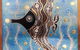 Terra Nova Gallery - thumb 3