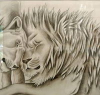 Bellingen Community Arts Council Inc - Internet Find