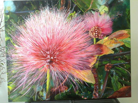 Island Art Shop & Studio - Internet Find 3