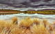 Paul Arnold Photography - thumb 1