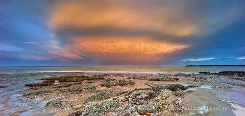 Paul Arnold Photography - Internet Find 3