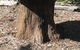 The Rustic Emu Gallery - thumb 0
