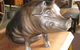 The Rustic Emu Gallery - thumb 3