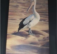 Maitland Framing Gallery - Internet Find