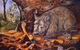 Davson Art - thumb 2