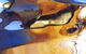 Art Aspects Gallery - thumb 1