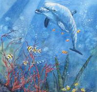Nadas Fine Art Gallery - Internet Find