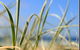 Coastal Visions Photography - thumb 1