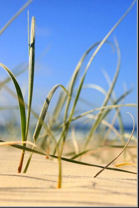 Coastal Visions Photography - Internet Find 1