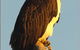 Coastal Visions Photography - thumb 2
