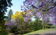 Grafton Art Club Inc - thumb 1