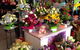 Flower Fusion Bundaberg - thumb 4